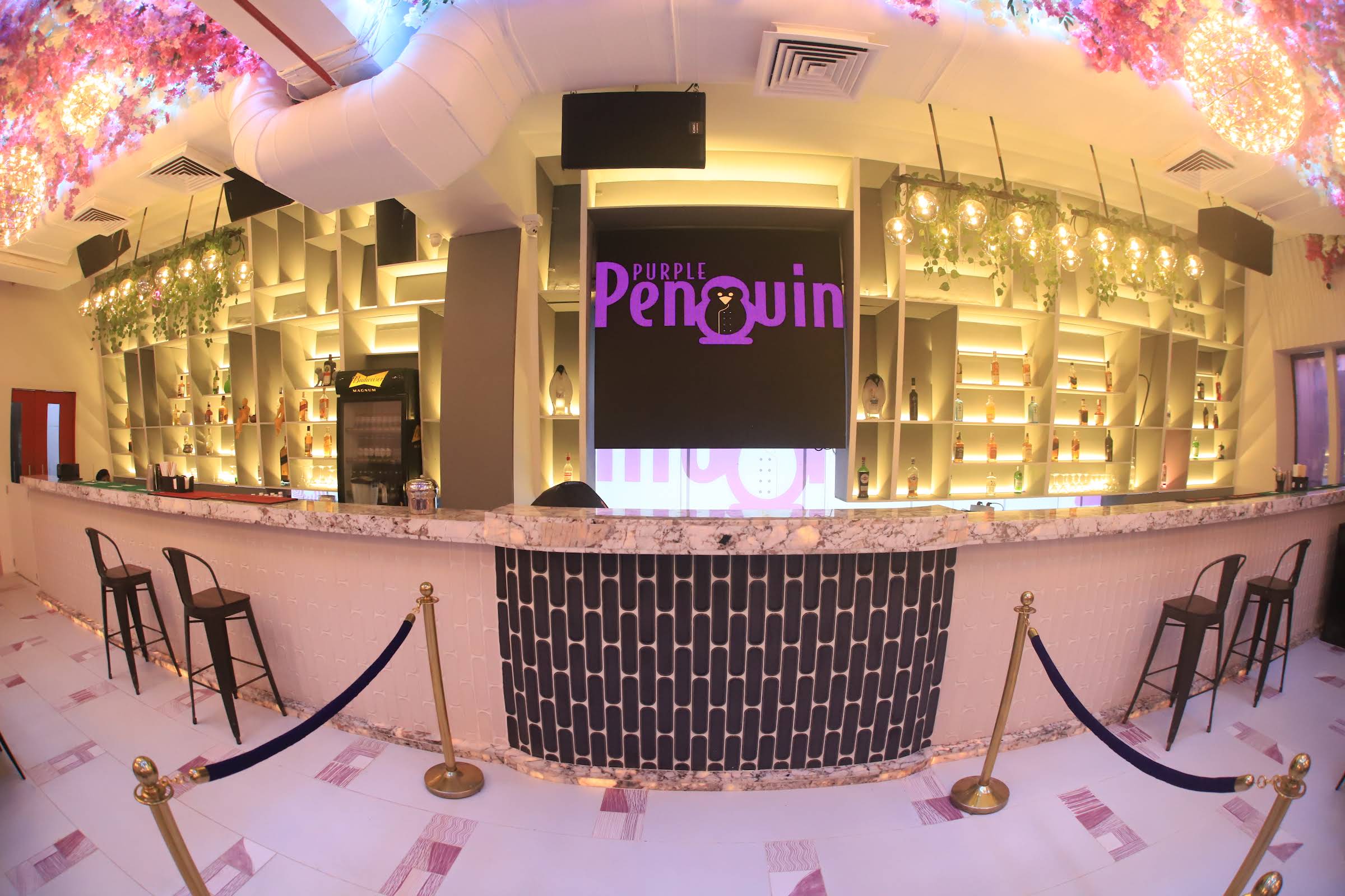 PURPLE PENGUIN